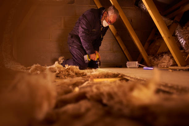 Best Basement Insulation  in Elk Grove Vlage, IL